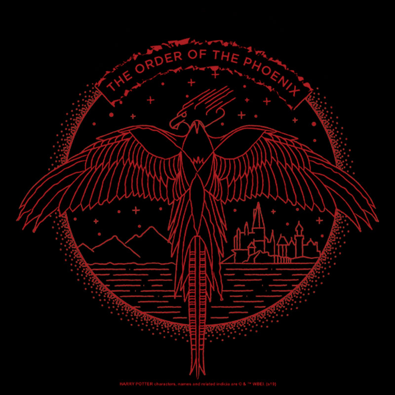 Men's Harry Potter Order of Phoenix Flight T-Shirt