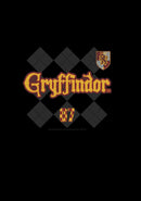 Boy's Harry Potter Gryffindor Argyle Print Pull Over Hoodie