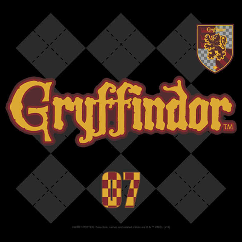 Men's Harry Potter Gryffindor Argyle Print Pull Over Hoodie