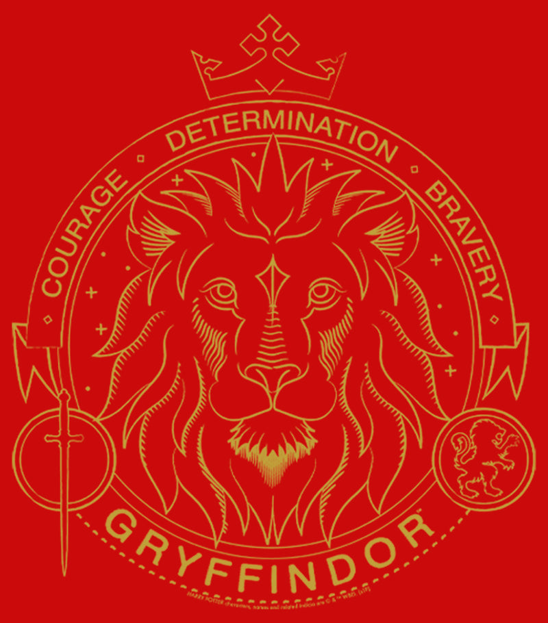 Boy's Harry Potter Gryffindor Line Art Seal T-Shirt