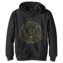 Boy's Harry Potter Gryffindor Line Art Seal Pull Over Hoodie