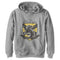 Boy's Harry Potter Hufflepuff Snitch Crest Pull Over Hoodie