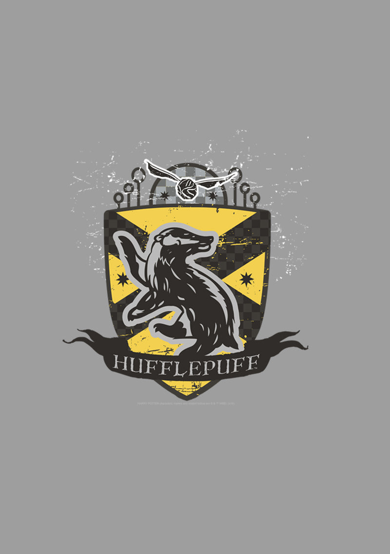 Boy's Harry Potter Hufflepuff Snitch Crest Pull Over Hoodie