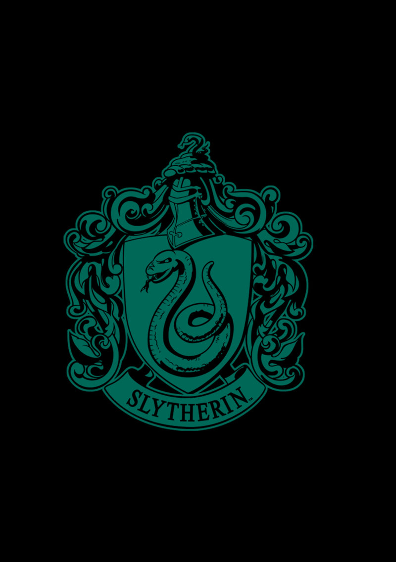 Boy's Harry Potter Slytherin Dark Badge Logo Pull Over Hoodie