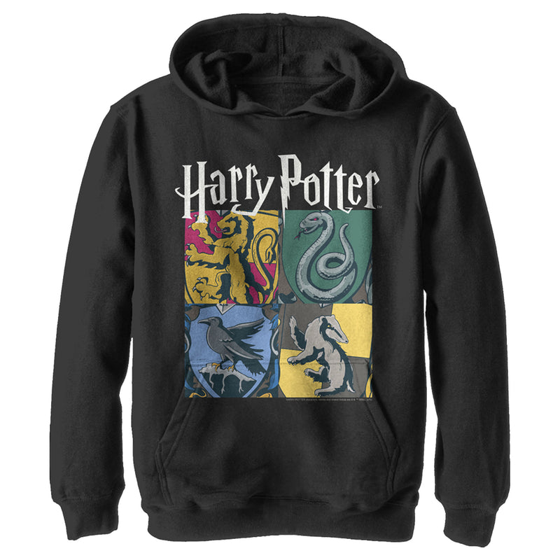 Boy's Harry Potter Hogwarts Houses Vintage Collage Pull Over Hoodie