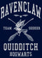Boy's Harry Potter Ravenclaw Quidditch Seeker T-Shirt