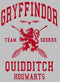 Women's Harry Potter Gryffindor Quidditch Team Seeker T-Shirt