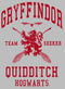 Girl's Harry Potter Gryffindor Quidditch Team Seeker T-Shirt