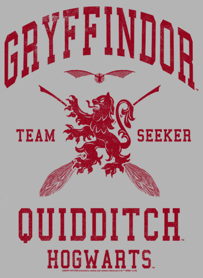 Men's Harry Potter Gryffindor Quidditch Team Seeker Pull Over Hoodie