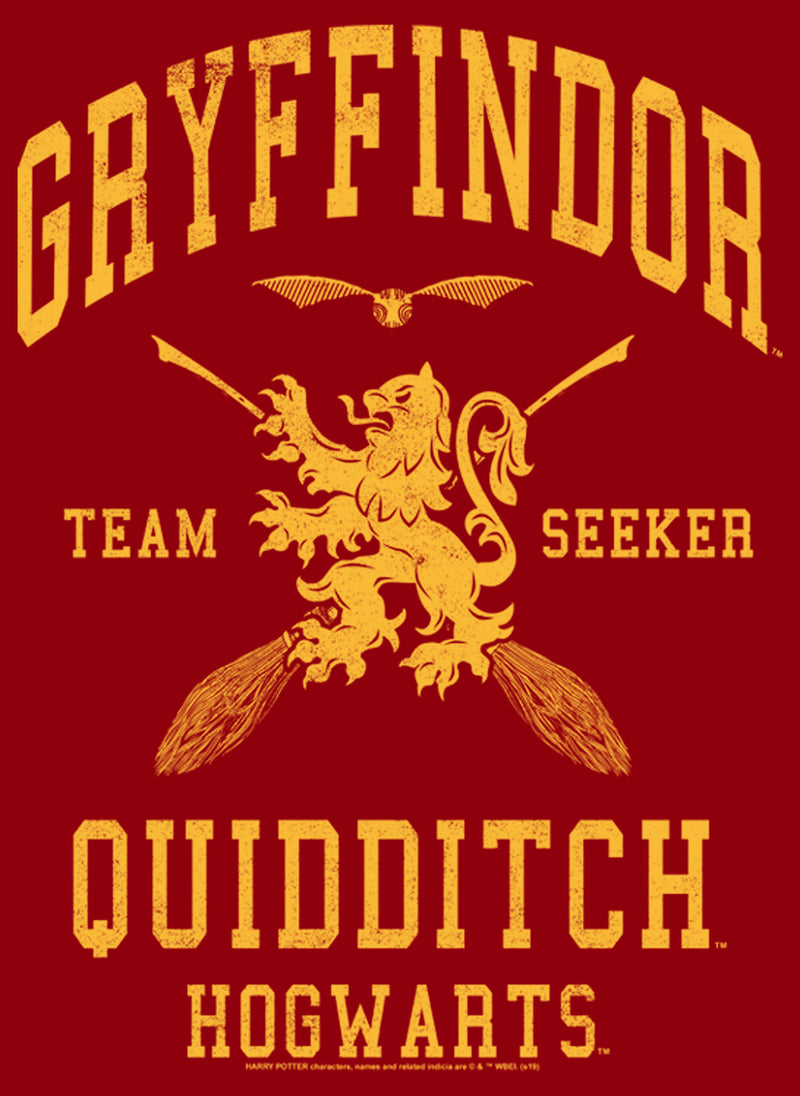 Men's Harry Potter Gryffindor Quidditch Gold Team Seeker T-Shirt