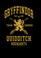 Boy's Harry Potter Gryffindor Quidditch Gold Team Seeker T-Shirt