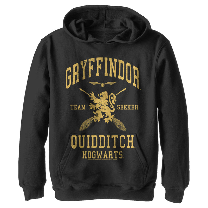 Boy's Harry Potter Gryffindor Quidditch Gold Team Seeker Pull Over Hoodie