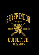 Boy's Harry Potter Gryffindor Quidditch Gold Team Seeker Pull Over Hoodie