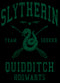 Men's Harry Potter Slytherin Quidditch Team Seeker T-Shirt
