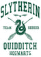 Men's Harry Potter Slytherin Quidditch Team Seeker Long Sleeve Shirt