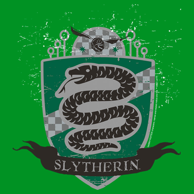 Boy's Harry Potter Slytherin House Shield T-Shirt