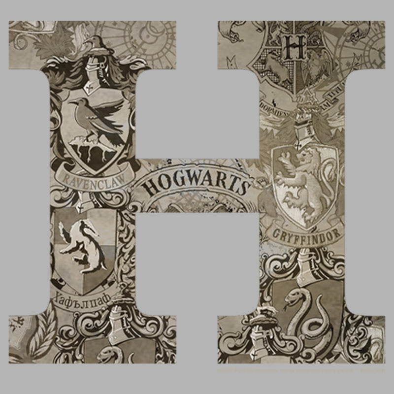 Men's Harry Potter Vintage Hogwarts Letter Pull Over Hoodie