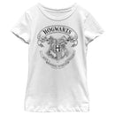 Girl's Harry Potter Hogwarts 4 House Crest T-Shirt