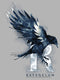 Men's Harry Potter Ravenclaw Bird Watercolor Pull Over Hoodie