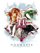 Girl's Harry Potter Hogwarts Watercolor Symbols T-Shirt