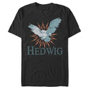 Men's Harry Potter Hedwig Owl Flight T-Shirt