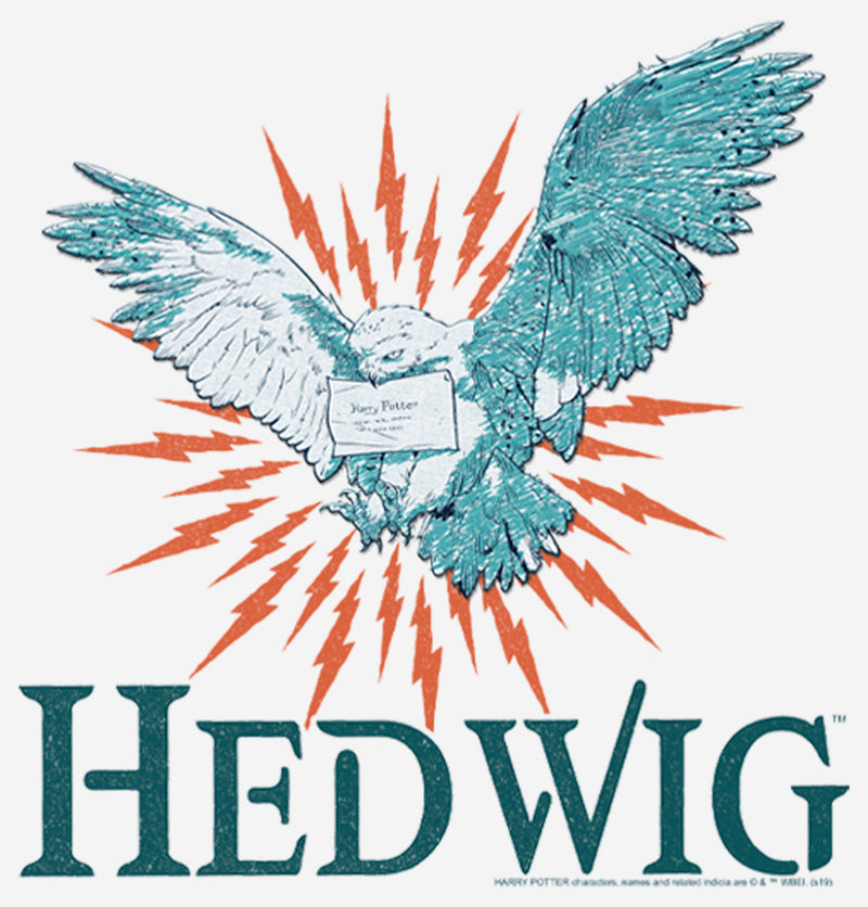 Women's Harry Potter Hedwig Owl Flight T-Shirt