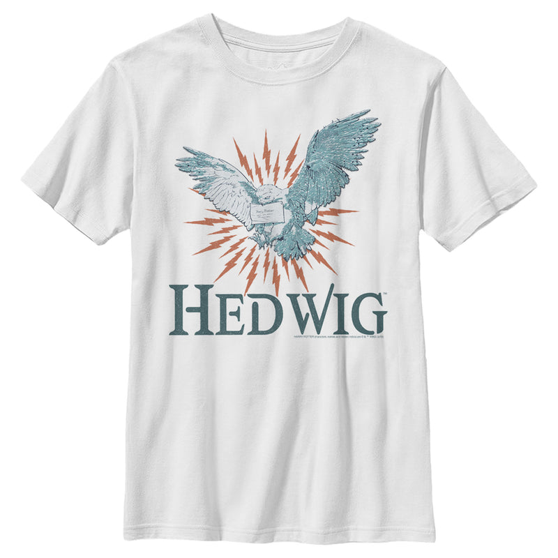 Boy's Harry Potter Hedwig Owl Flight T-Shirt