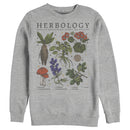 Men's Harry Potter Hogwarts Herbology Sweatshirt