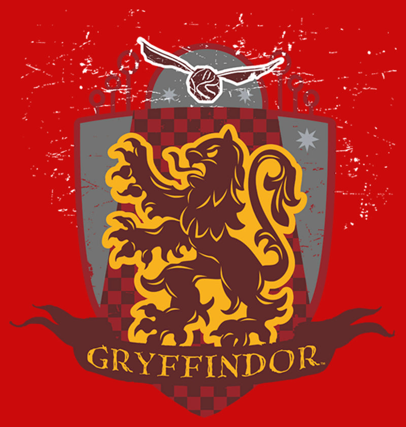 Boy's Harry Potter Gryffindor Quidditch Coat of Arms T-Shirt