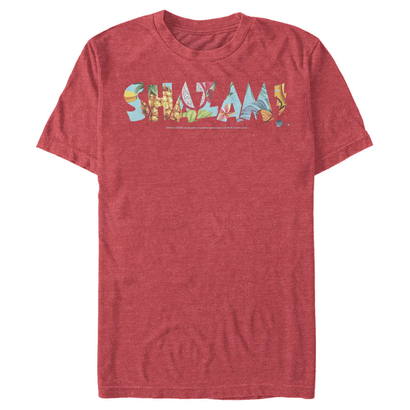Men's Justice League Shazam Dragon Fruit Logo T-Shirt