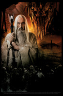 Men's The Lord of the Rings Fellowship of the Ring Evil Saruman T-Shirt