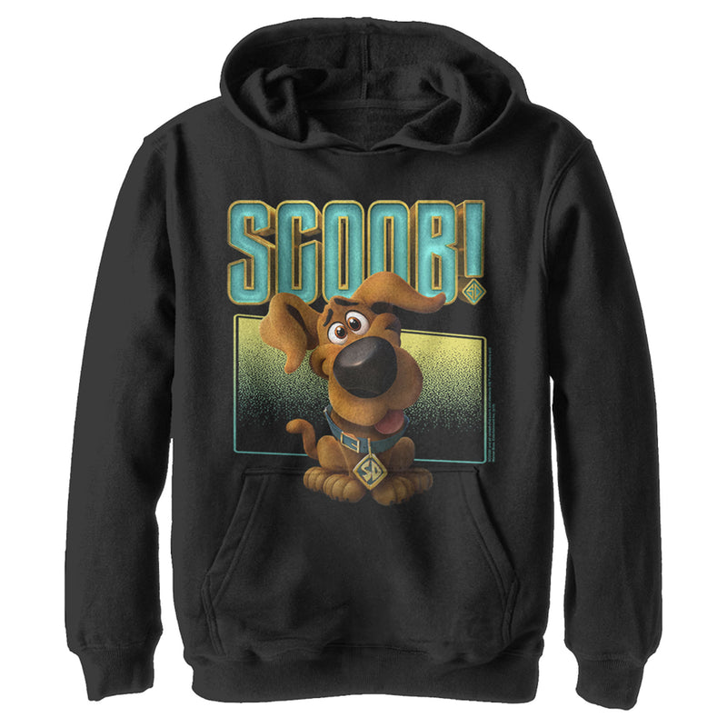 Boy's Scooby Doo Puppy Frame Pull Over Hoodie