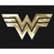 Men's Wonder Woman 1984 Metallic Logo Long Sleeve Shirt