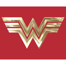 Men's Wonder Woman 1984 Metallic Logo Pull Over Hoodie