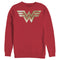 Men's Wonder Woman 1984 Metallic Logo Sweatshirt