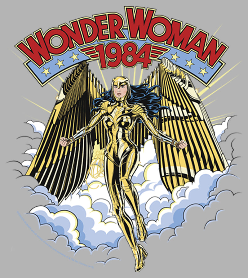 Men's Wonder Woman 1984 Golden Eagle Pull Over Hoodie