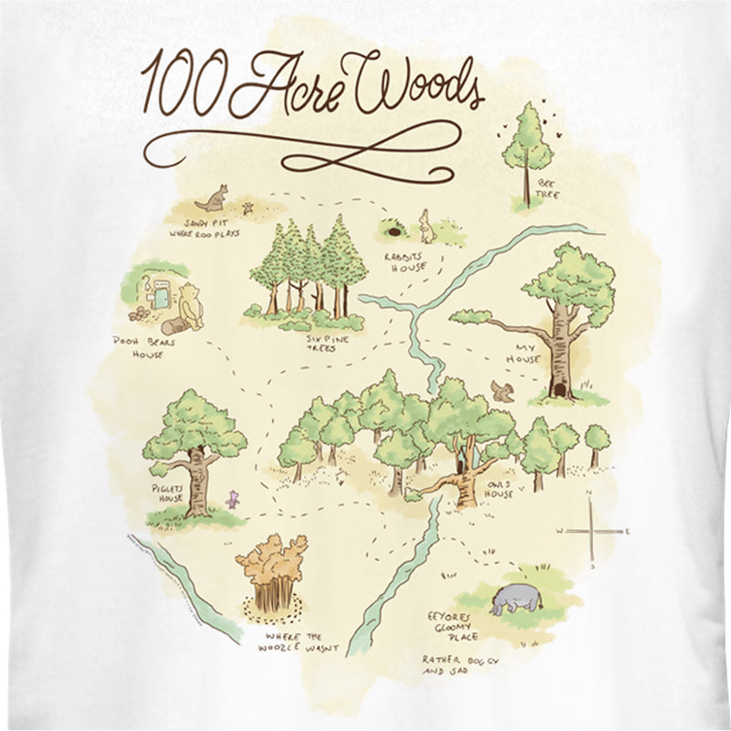 Junior's Winnie the Pooh 100 Acre Woods Map T-Shirt – Fifth Sun