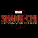 Boy's Marvel Shang-Chi and the Legend of the Ten Rings Logo T-Shirt