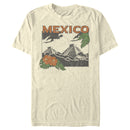 Men's Lost Gods Mexico Pyramid Scene T-Shirt