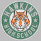 Boy's Stranger Things Retro Hawkins High School Tiger Mascot Pull Over Hoodie