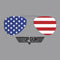 Boy's Top Gun American Flag Aviator Sunglasses Logo Pull Over Hoodie