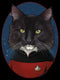 Men's Star Trek: The Next Generation Number One Commander William T Riker Cat T-Shirt