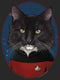 Women's Star Trek: The Next Generation Number One Commander William T Riker Cat T-Shirt