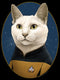 Men's Star Trek: The Next Generation Commander Data Cat T-Shirt