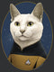 Women's Star Trek: The Next Generation Commander Data Cat Racerback Tank Top