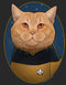 Women's Star Trek: The Next Generation Lieutenant O'Brien Cat T-Shirt