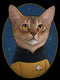Junior's Star Trek: The Next Generation Lieutenant Barclay Cat T-Shirt