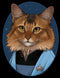 Junior's Star Trek: The Next Generation Doctor Beverly Crusher Cat T-Shirt