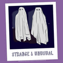 Girl's Beetlejuice Halloween Strange and Unusual Ghost Photo T-Shirt