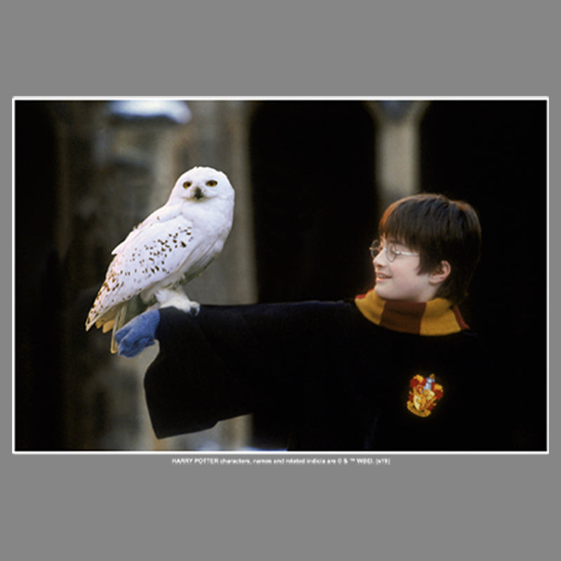Boy's Harry Potter Wizard and Owl Performance Tee